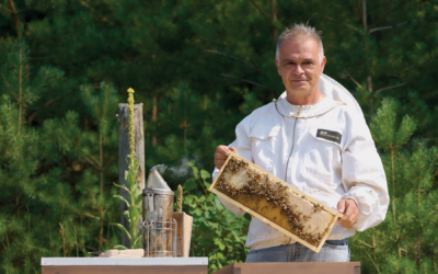 What’s All The Buzz About Ontario’s Belicious Raw Honey?